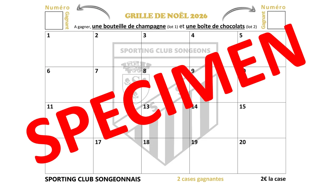 Grille de Noël 2026 : participez à une opération qui soutient le SCS